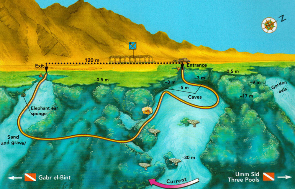 Dahab Divers Exterior foto