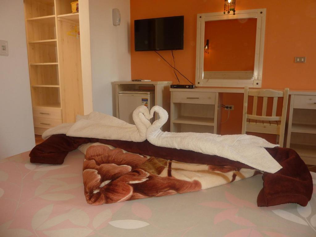 Dahab Divers Zimmer foto