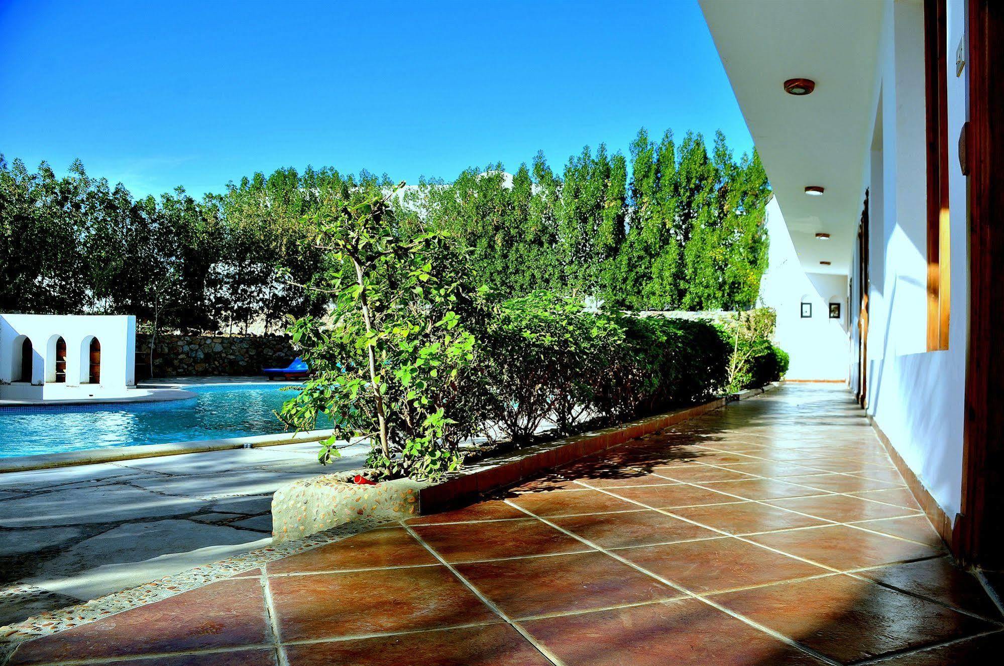 Dahab Divers Exterior foto